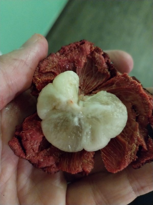 Mangosteen, Queen of fruit