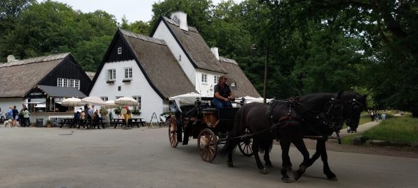 Horse riding