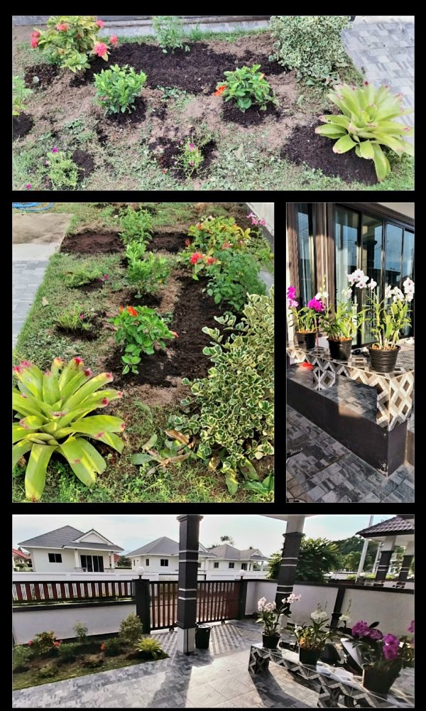 New garden