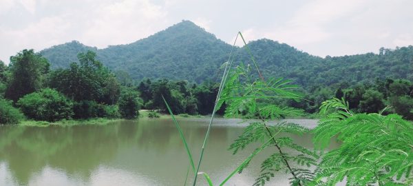 Mountains