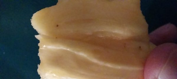 Jack fruit