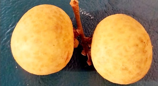Another fruit
