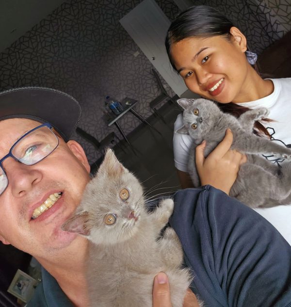Cat family