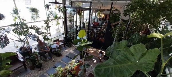 Our new cafe?