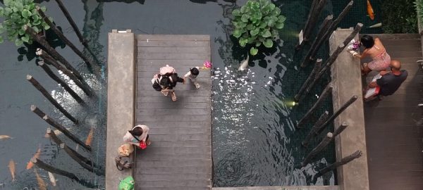 Drone view