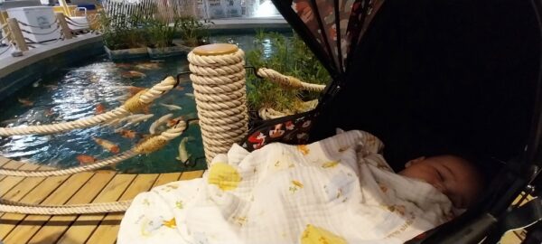 Sleeping with fish