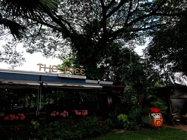 tree cafe